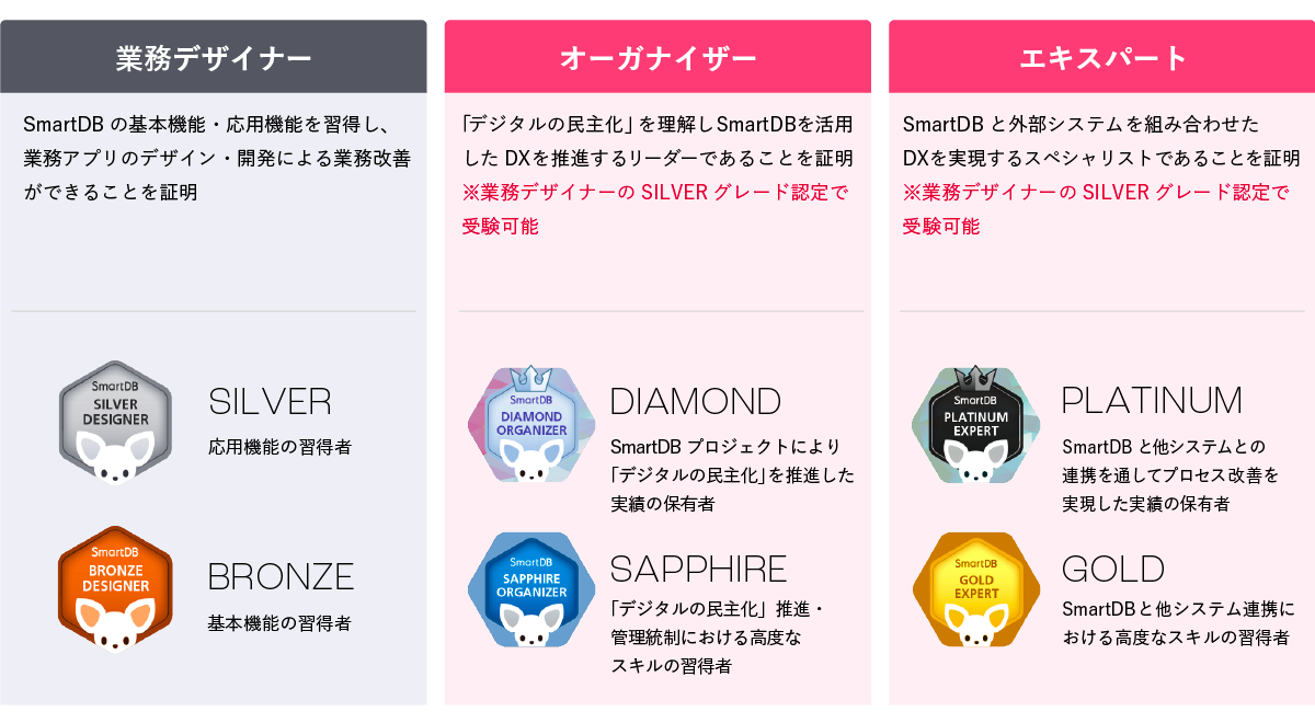 SmartDB®︎認定資格制度(SCS) 3つの種類と6つのグレード